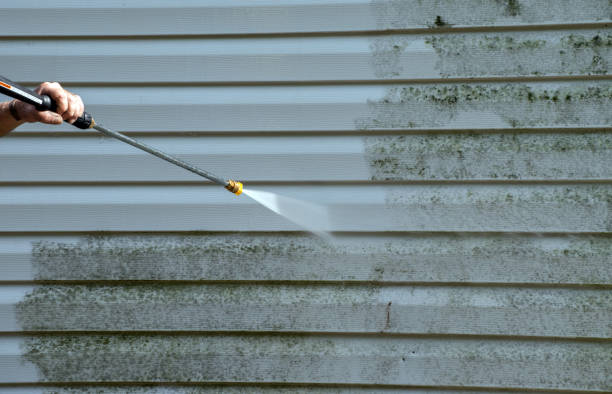 Best Affordable Pressure Washing  in Greilickville, MI