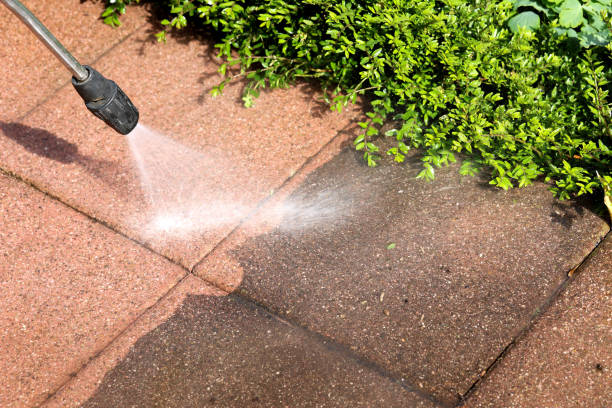 Deck Cleaning Services in Greilickville, MI